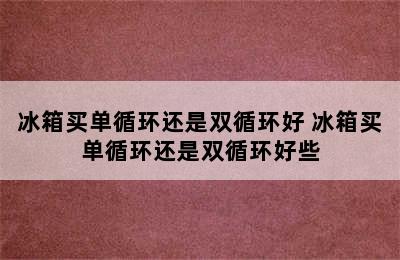 冰箱买单循环还是双循环好 冰箱买单循环还是双循环好些